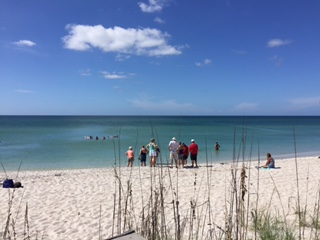 Stump Pass Beach