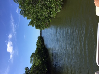 Beautiful sights