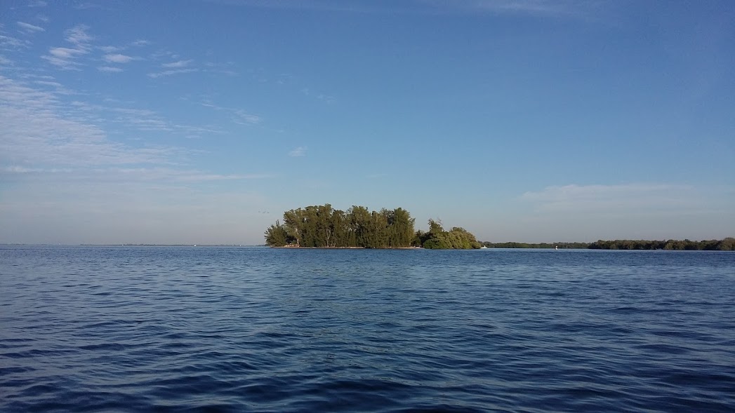 20161112_162553.jpg