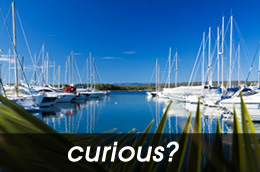 Curious